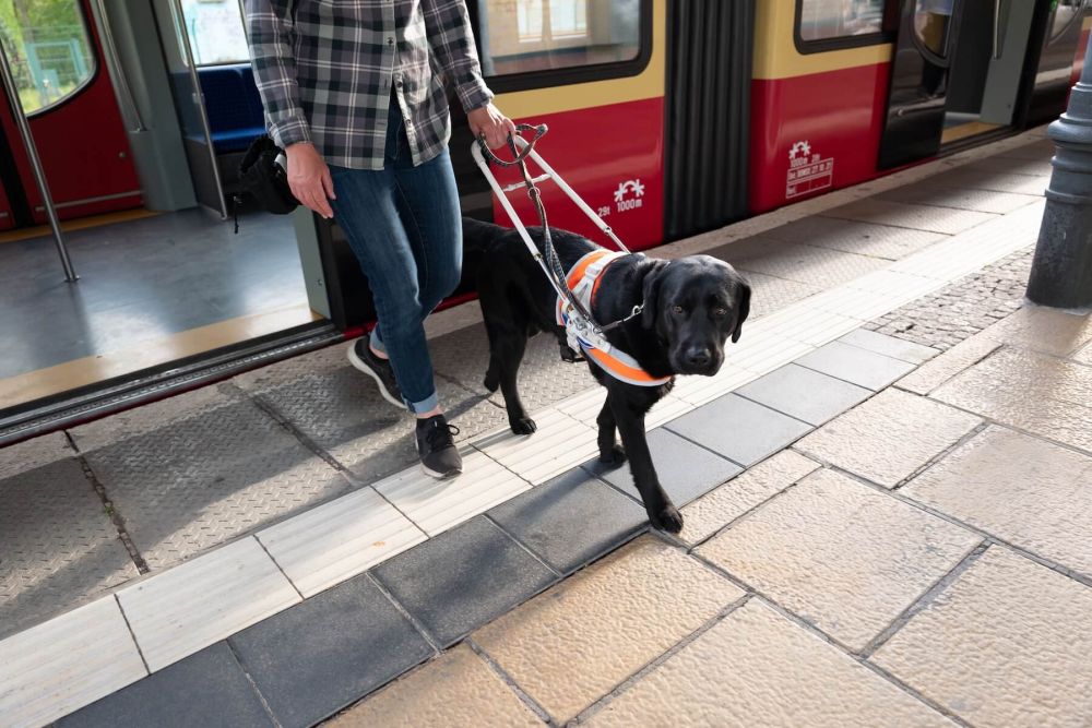 Accessibility and inclusion